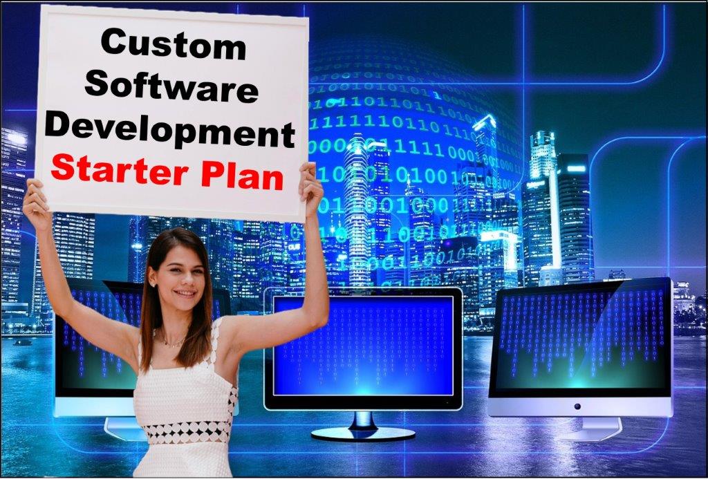 custom software development services in Dover Delaware
