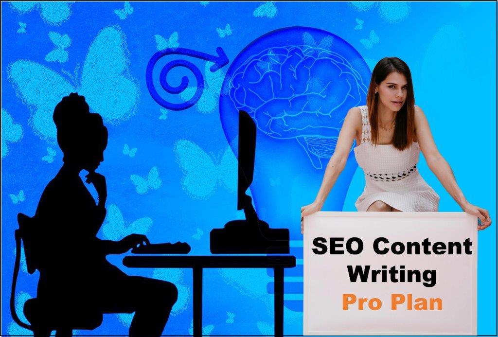 seo content writing agency Dover Delaware