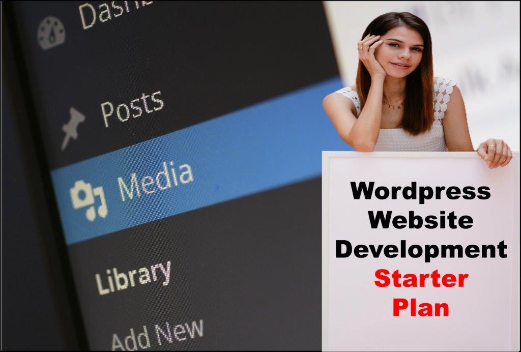wordpress website development agency in Dover Delaware